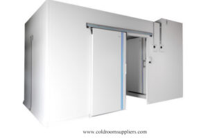 Cold room sliding door