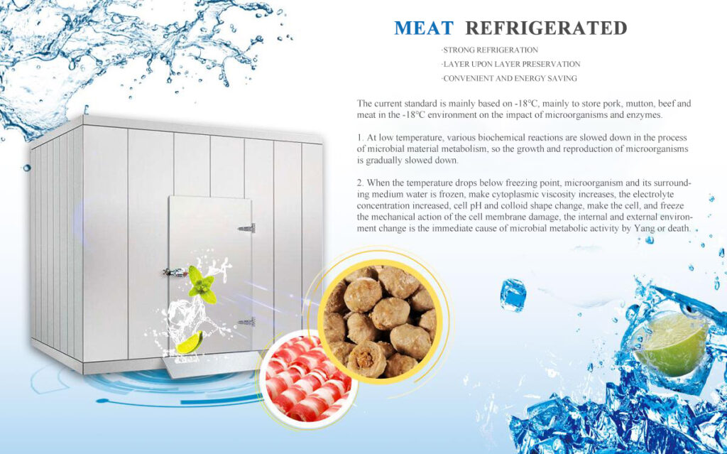 MEAT COLD STORAGE SOLUTIONS