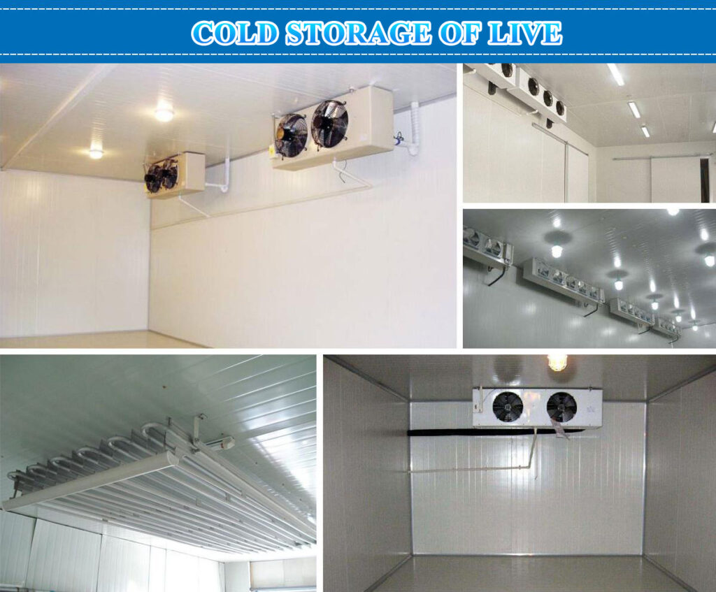  COLD STORAGE OF LIVE