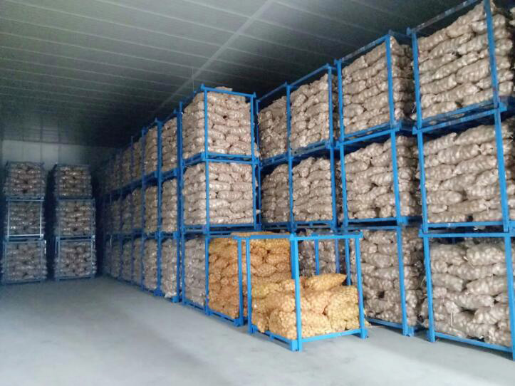Cold Storage for Potato