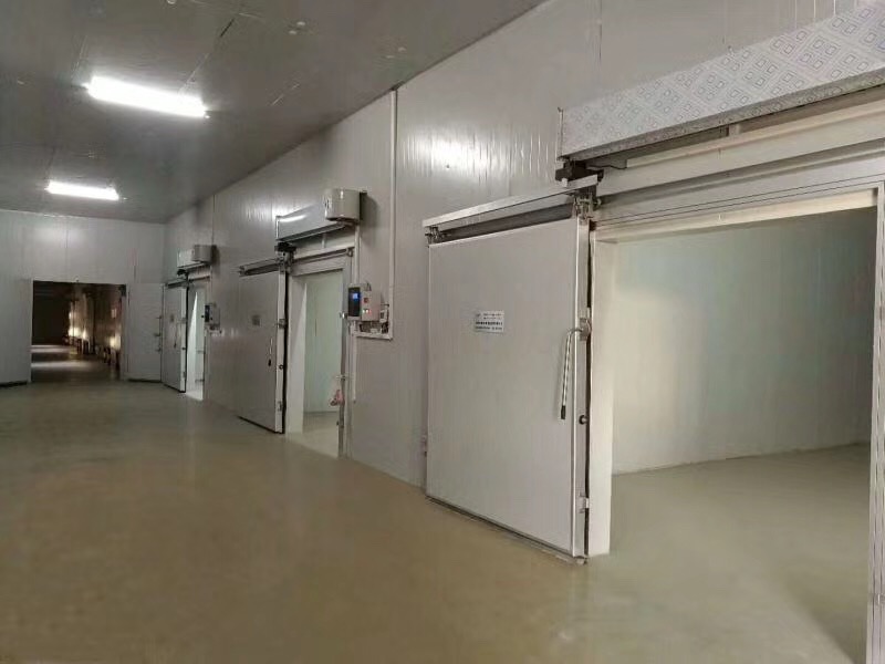 Fruit Cold Storage Room