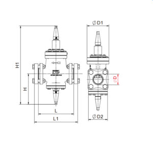 Inlet Pressure Regulating Valve IPRV