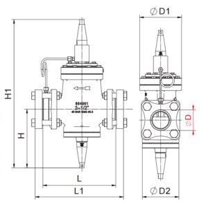 Differential Pressure Regulating Valve