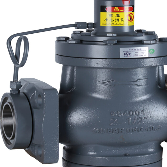 Differential Pressure Regulating Valve - Image 2