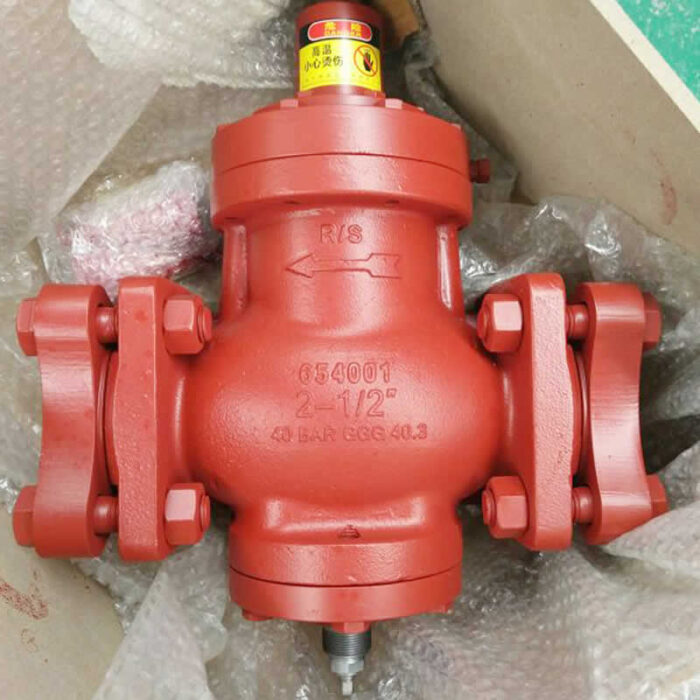 Solenoid Valve DGSV  for cold room - Image 5