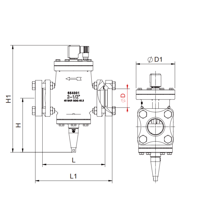 Solenoid Valve DGSV  for cold room - Image 6