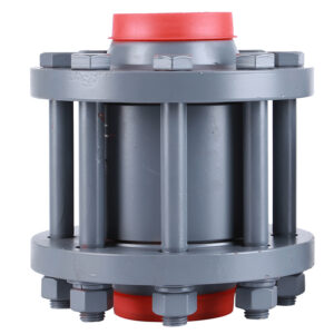 Neck Flange Check Valve