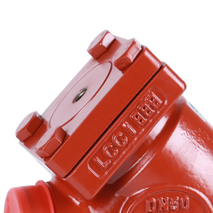 Straight Type PN63 Check Valve - Image 2