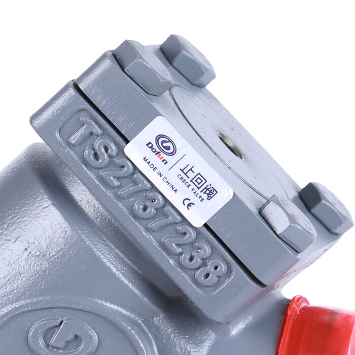 Straight Type Check Valve - Image 2