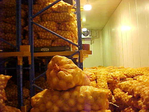 Potato and Onion Cold Storage Solutions POTATO AND ONION COLD STORAGE SOLUTIONS