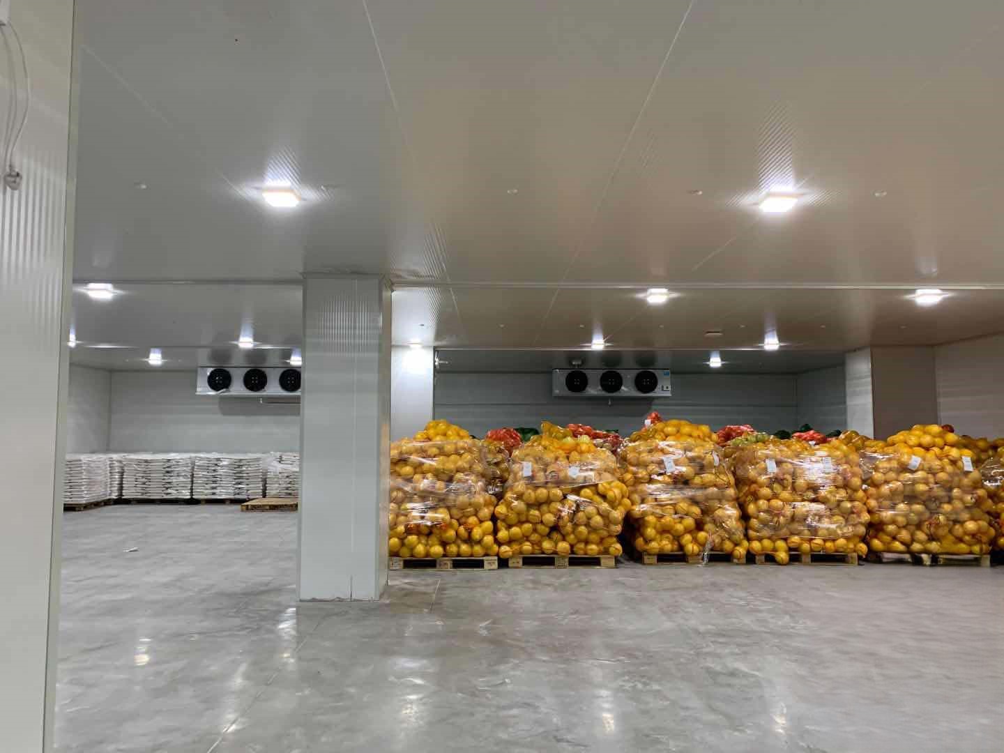 POTATO AND ONION COLD STORAGE