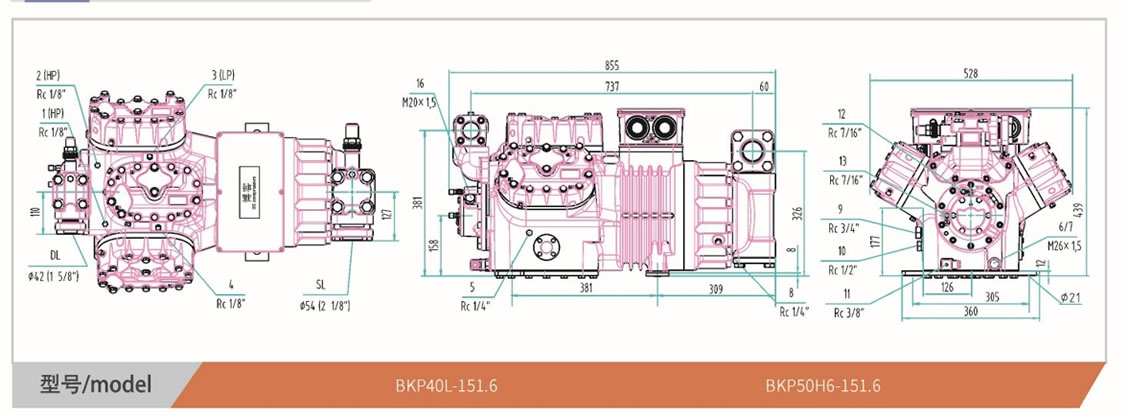 R507A Semi Hermetic Compressor CASGYW Refrigeration Compressor