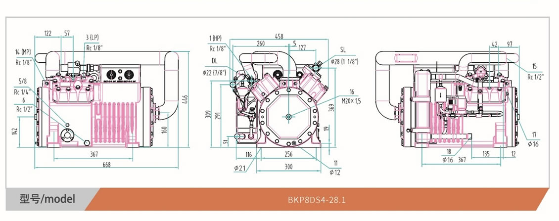 Semi Hermetic Compressor CASGYW Refrigeration Compressor