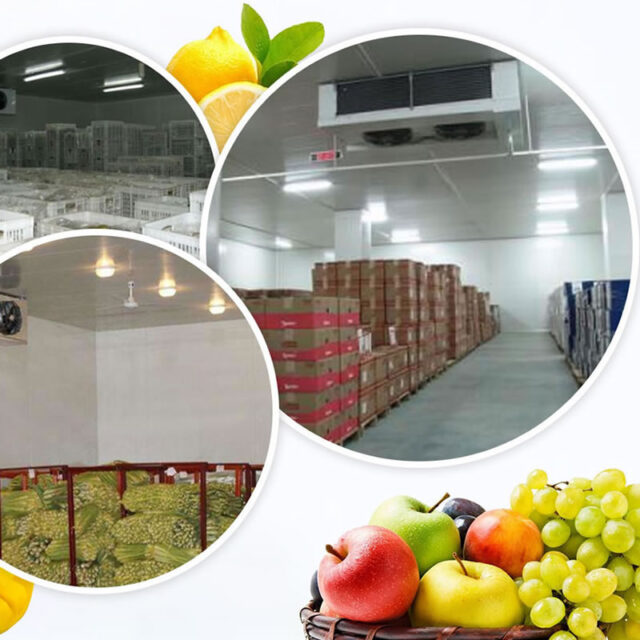FRUIT AND VEGETABLE COLD ROOMS