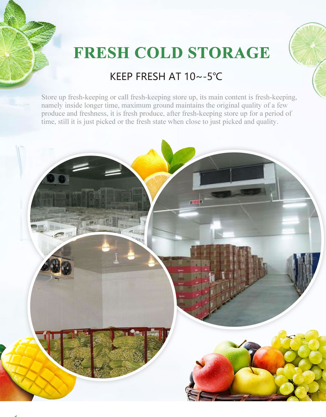FRUIT AND VEGETABLE COLD ROOMS
