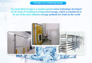 cooling-capacity-type-unit-cooler